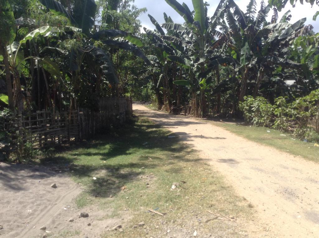 Rasti Homestay Kuta  Extérieur photo