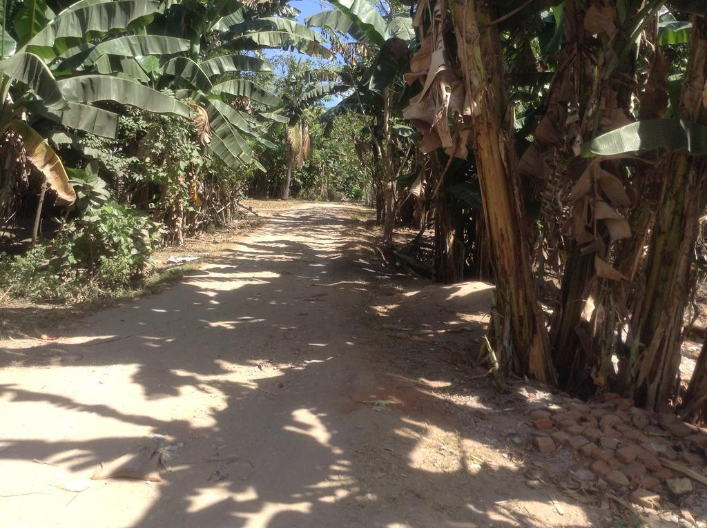 Rasti Homestay Kuta  Extérieur photo